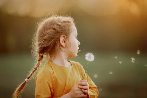 Little girl blowing the dandelion  flower — Stock Photo, Image