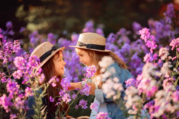 Malé sestry venkovní portrét v růžové louce — Stock fotografie