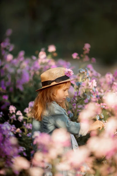 Little girl outdoor portrait in a pink flowers — Stock Photo, Image