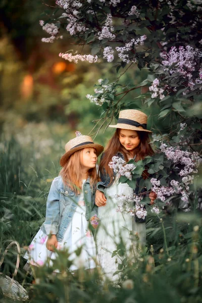 Małe siostry plenerowe portret w pobliżu drzewa bzu — Zdjęcie stockowe
