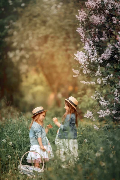 Little sisters outdoor portrait near lilac tree — Stock Photo, Image