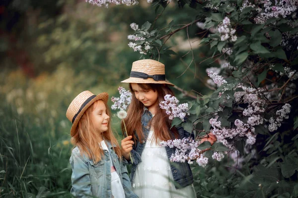 Little sisters outdoor portrait near lilac tree — Stock Photo, Image
