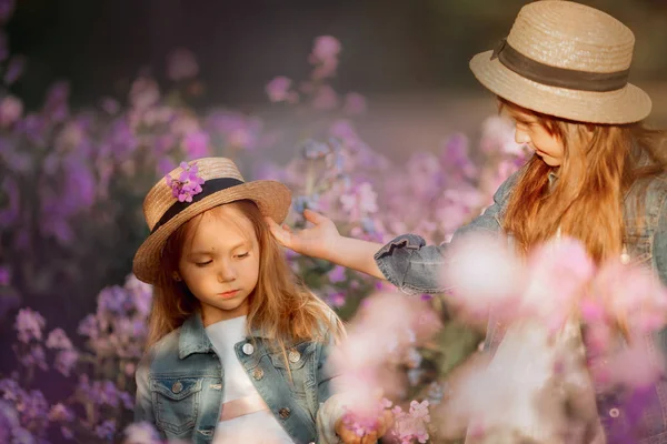 Hermanitas retrato al aire libre en un prado rosa —  Fotos de Stock