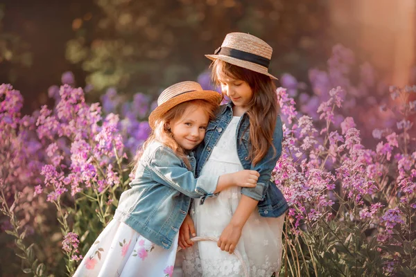 Kleine zusters buiten portret in een roze weide — Stockfoto