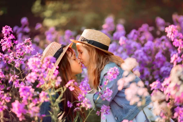 Little sisters outdoor portrait in a pink meadow — Stock Photo, Image