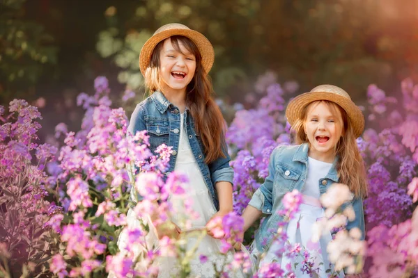 Kleine zusters buiten portret in een roze weide — Stockfoto