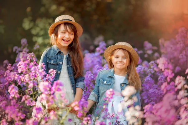 Piccole sorelle ritratto all'aperto in un prato rosa — Foto Stock