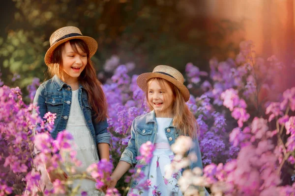 Μικρές αδελφές εξωτερική πορτρέτο σε ένα ροζ λιβάδι — Φωτογραφία Αρχείου