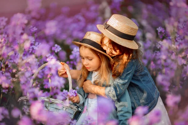 Kleine zusters buiten portret in een roze weide — Stockfoto