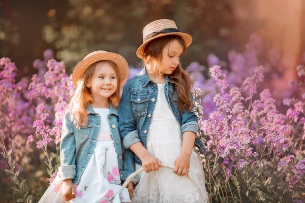 Pequenas irmãs ao ar livre retrato em um prado rosa — Fotografia de Stock