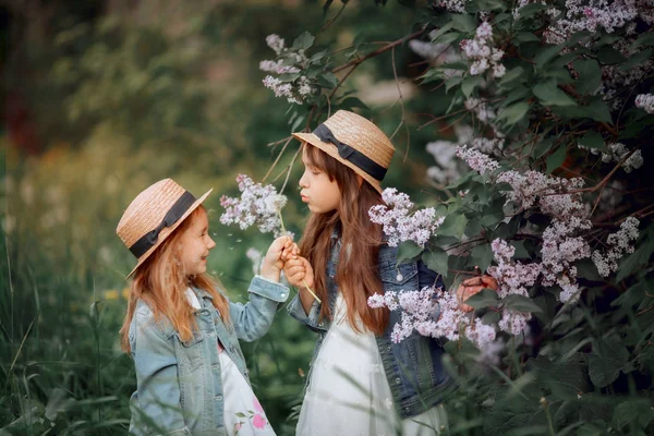 Little sisters outdoor portrait near lilac tree — Stock Photo, Image