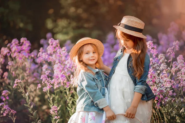 Hermanitas retrato al aire libre en un prado rosa —  Fotos de Stock