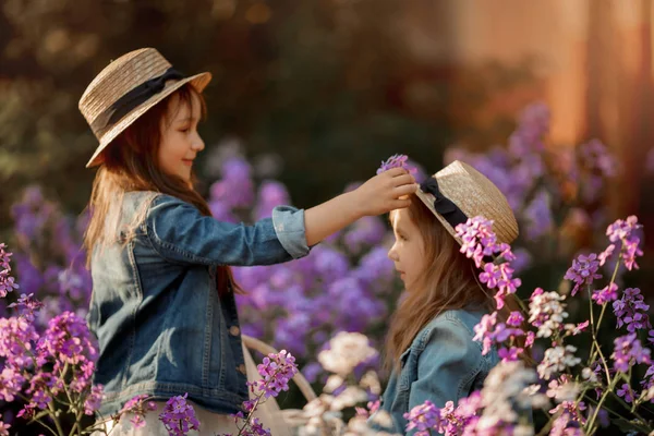 Pequenas irmãs ao ar livre retrato em um prado rosa — Fotografia de Stock