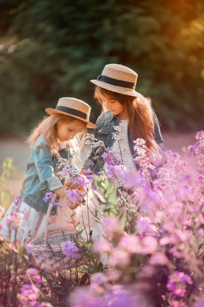 Pequenas irmãs ao ar livre retrato em um prado rosa — Fotografia de Stock