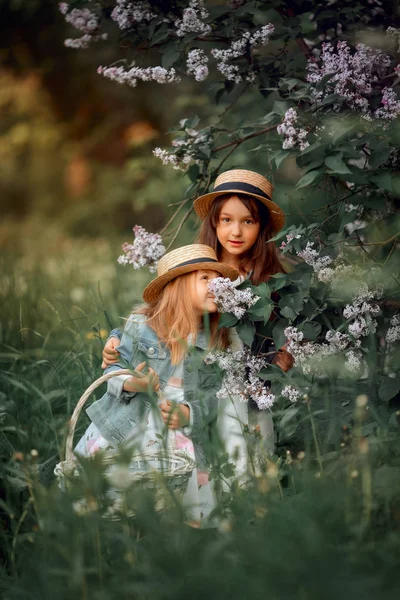 Little sisters outdoor portrait near lilac tree — Stock Photo, Image