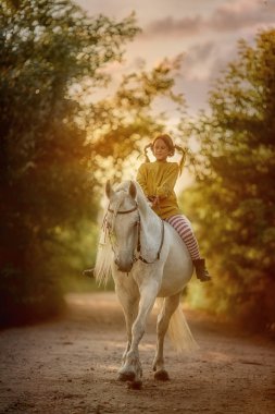 Pippi Longstocking atı ile