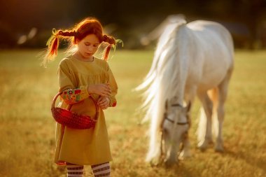 Pippi Longstocking atı ile
