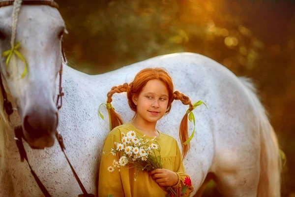 彼女の馬とピッピロングストッキング — ストック写真