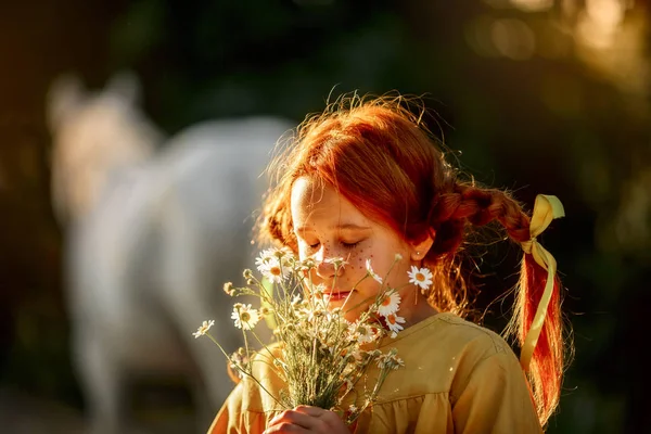 Pippi Langstrumpf mit ihrem Pferd — Stockfoto