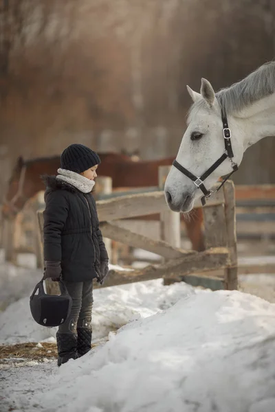 Tiener meisje staande in de buurt van wit paard in een paddock — Stockfoto