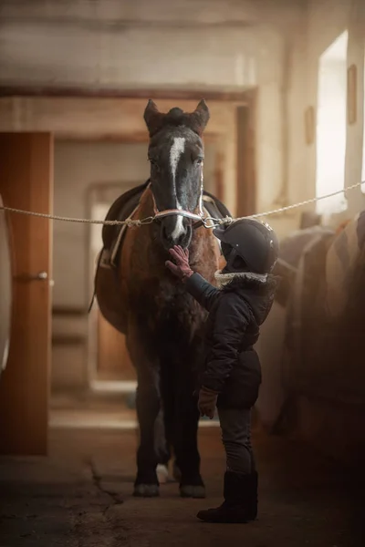 Adolescente de pie con caballo en un establo — Foto de Stock
