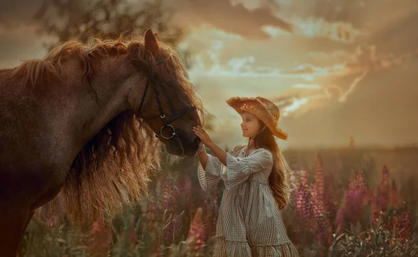 在夏夜的田野里 一个小女孩牵着一匹红毛马 吉普赛野马 — 图库照片
