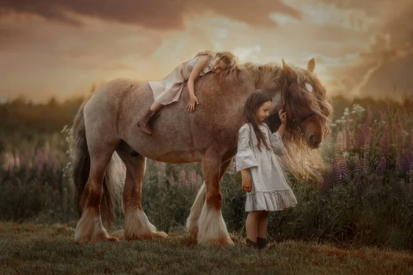 Yaz Akşamı Tarlasında Iki Küçük Kız Kardeş Kırmızı Atlı Çingene — Stok fotoğraf