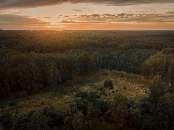 ウラジミール地方の日没のロシアの夏の風景 — ストック写真