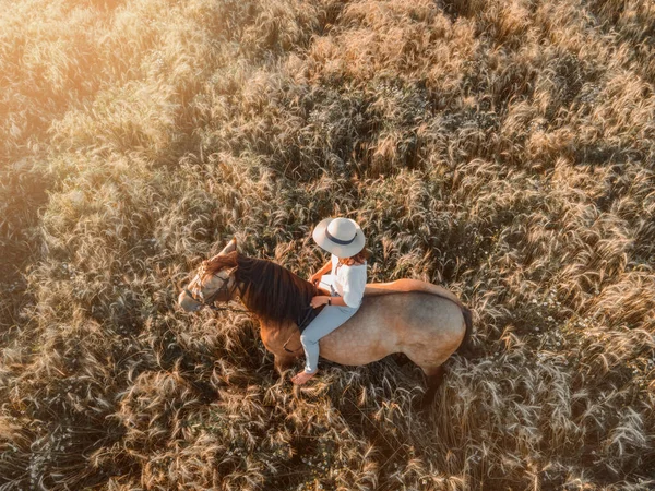 Beautiful Young Woman Spanish Buckskin Horse Rue Field Sunset — Stock Photo, Image