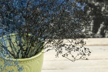 Kurutulmuş Bebek nefes buket düğün çiçek aranjmanı kurutulmuş. 