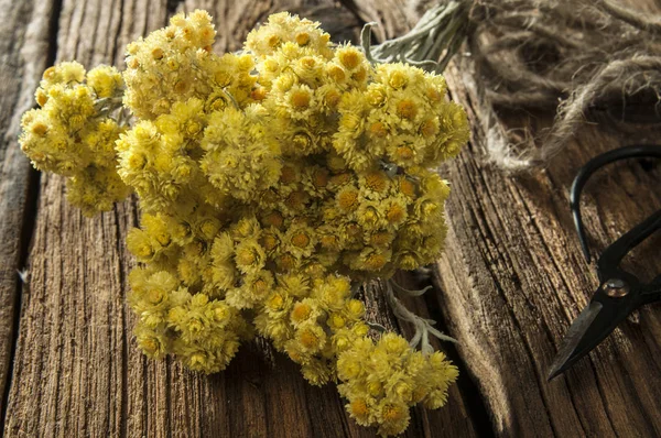 Helichrysum Orientale Stems Wild Rustic Bouquet Dried Flowers Bouquet Rustic — Stock Photo, Image