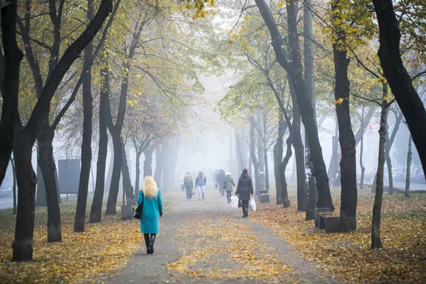 Autunno Parco Urbano Podil Distretto Kiev Ucraina Novembre 2018 — Foto Stock