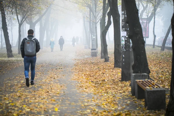 Autunno Parco Urbano Podil Distretto Kiev Ucraina Novembre 2018 — Foto Stock