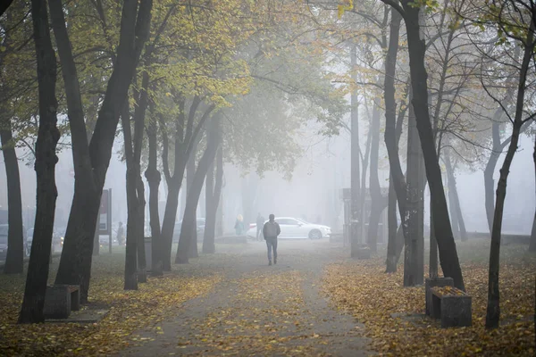 2018年11月乌克兰基辅波地勒地区秋季城市景观公园 — 图库照片