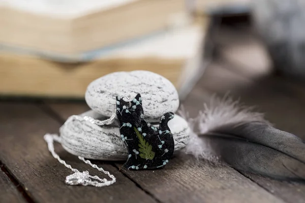 Черная Кошка Ведьмы Ювелирные Изделия Ожерелье Готический Сухой Настоящий Цветок — стоковое фото