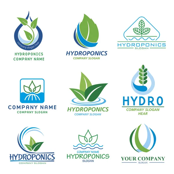 Hydroponics logo set — Stock Vector