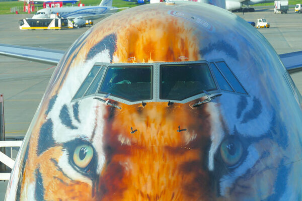 Tiger face airplane