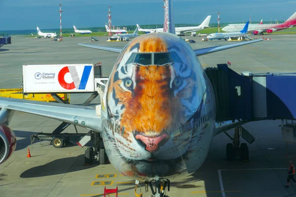 Avión cara de tigre — Foto de Stock