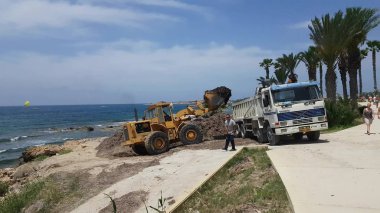 Okyanus plaj tarafından atılır yosun kaldırılması