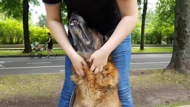 Mujeres manos tornillo un viejo perro — Vídeos de Stock