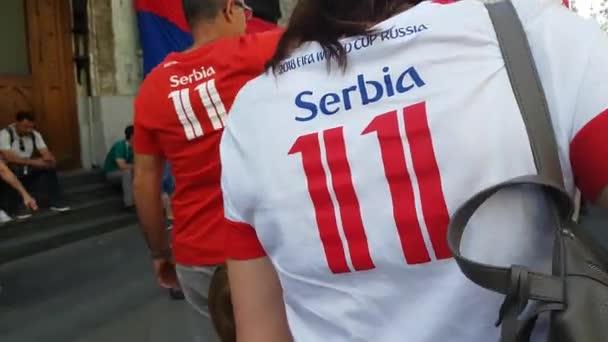 男子在塞尔维亚队 t恤衫的时候, 国际足联足球世界锦标赛. — 图库视频影像