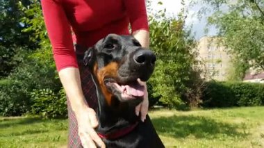 Kadın el köpeğini canı cehenneme.