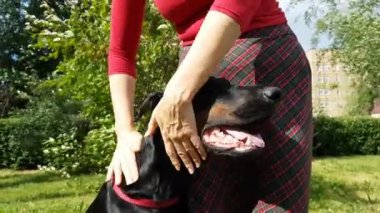 Kadın el köpeğini canı cehenneme.