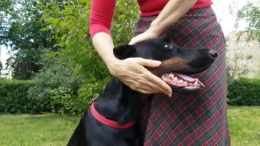 Kadın el köpeğini canı cehenneme.