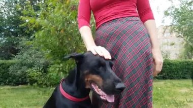 Kadın el köpeğini canı cehenneme.