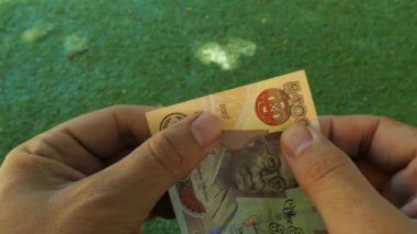 Bir banknot el tarafından doğrulanması