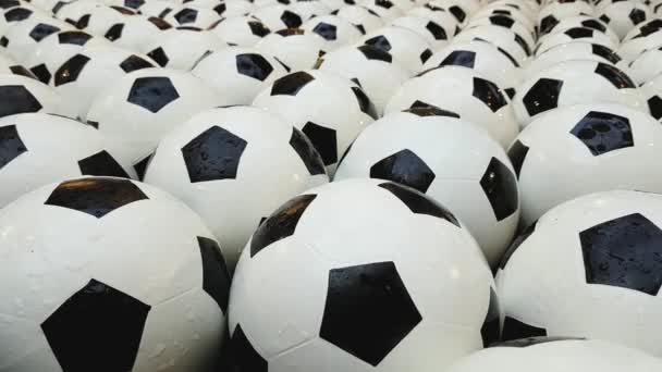 Lot Of Soccer Balls — Stock Video