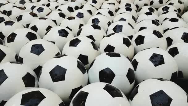 Lot Of Soccer Balls — Stock Video