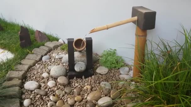 Acqua gocciolante nel giardino giapponese — Video Stock