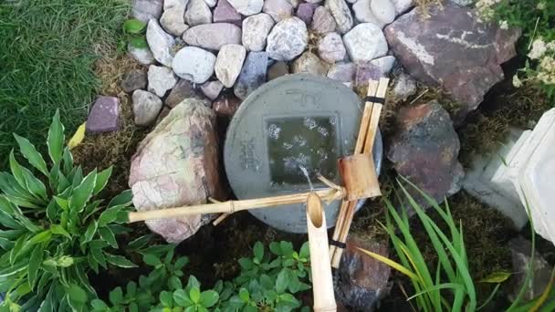 Acqua gocciolante nel giardino giapponese — Video Stock